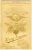 Unknown Cricketer Reverse Unknown Cricketer Reverse